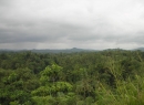 Kandy Bare Land for sale/rent